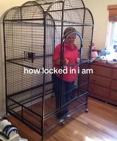 A person inside a large cage with the words how locked in i am
