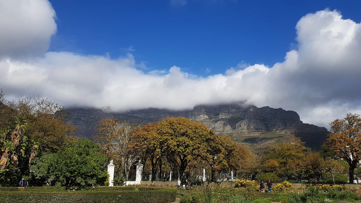 Table Mountain seen from Company's Garden in Cape Town